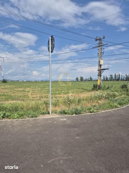 Teren 21.000 mp Ghimbav Hale industriale, parc logistic, depozitare - 3