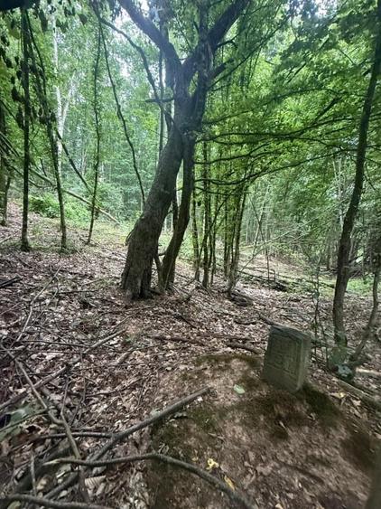 Teren extravilan de 174000 mp, în Buteni