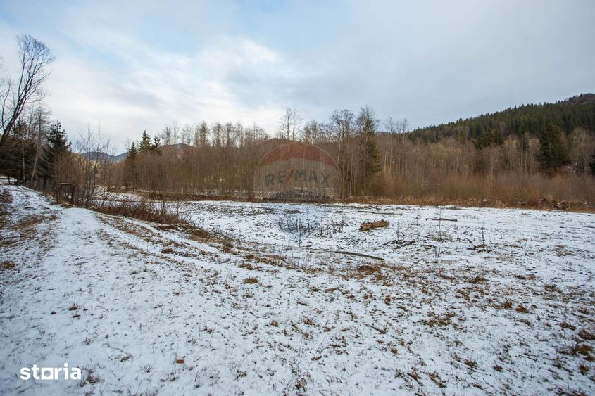 Teren de 49000 mp, în Borca