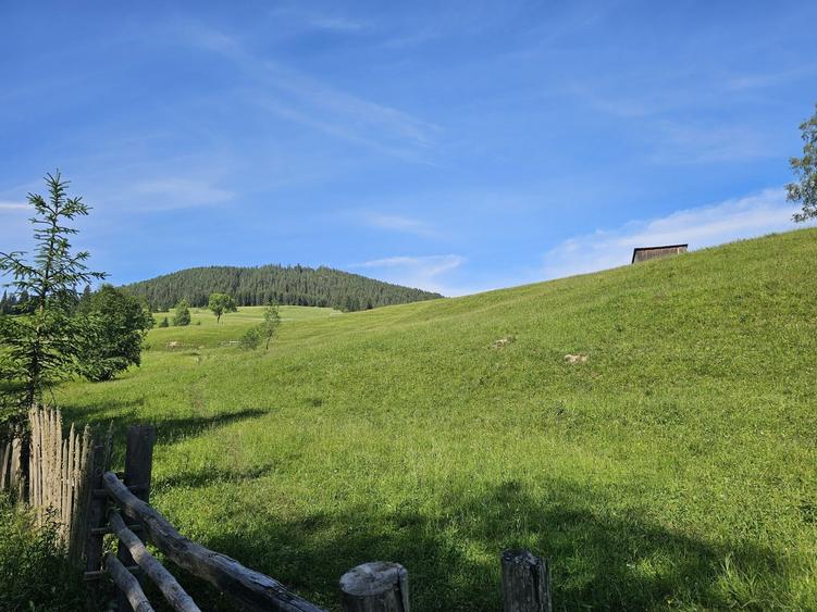 Teren intravilan de vanzare in Bucovina zona Breaza - 7