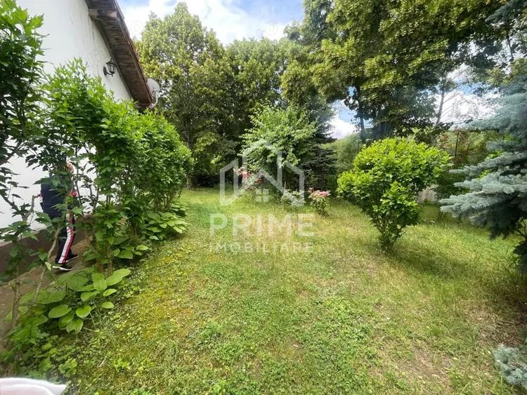 Casă cu Teren 6500 Mp în Pianu