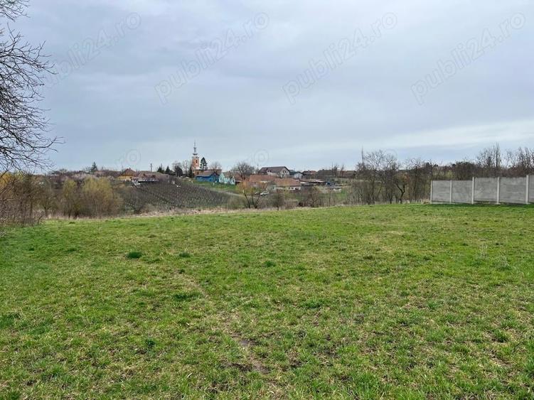 Teren de 4135 mp, în Călacea