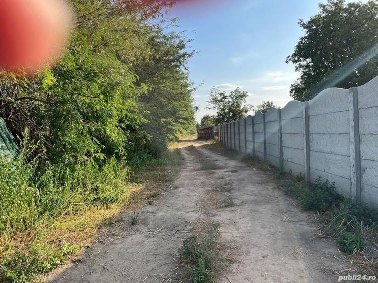 Teren în Cazasu