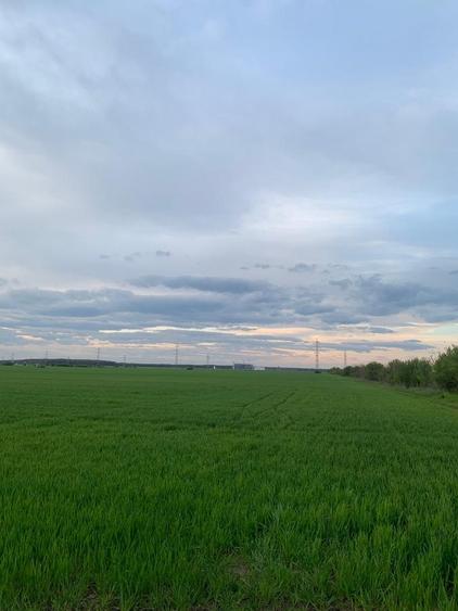 Teren Construcții intravilan de 30000 mp, în Ștefăneștii de Jos