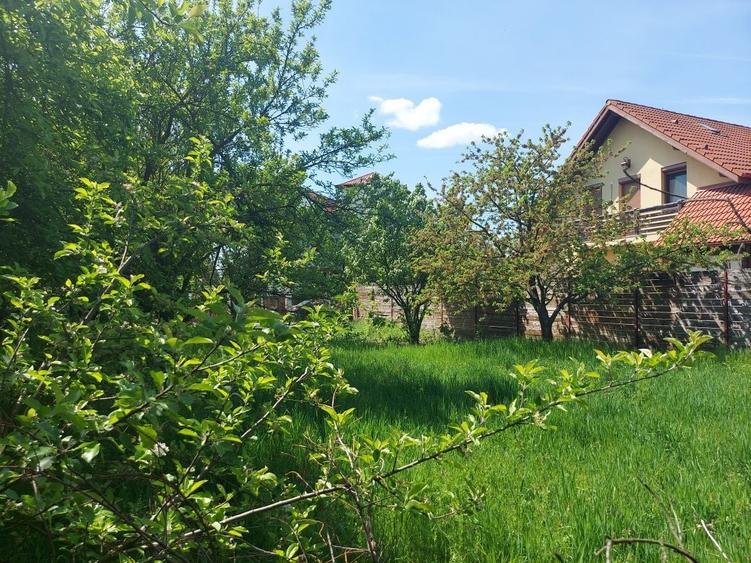 Spațiu comercial, în Plopi