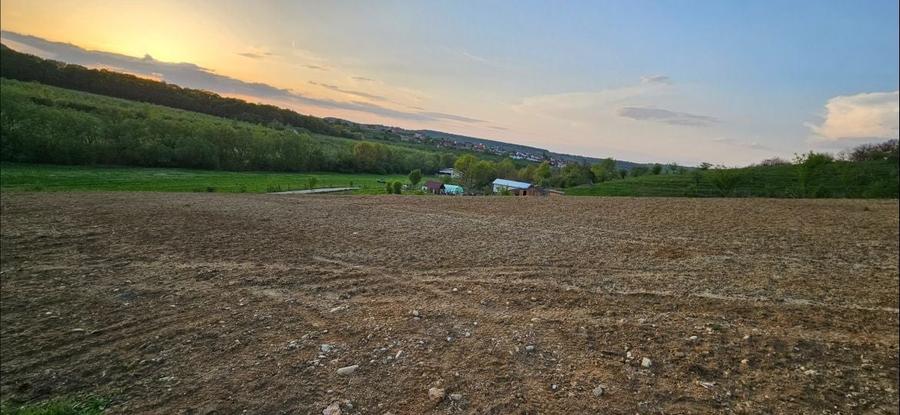 Teren de 2700 mp, în Tălmaciu