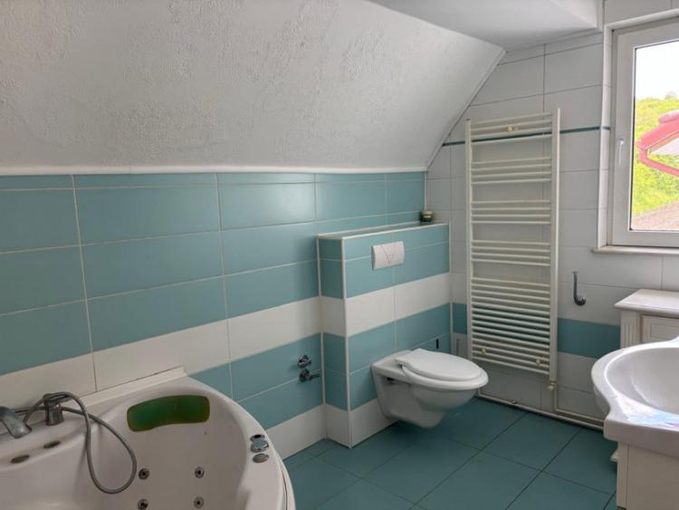 Casă cu 5 camere cu Teren 4000 Mp în Comșești