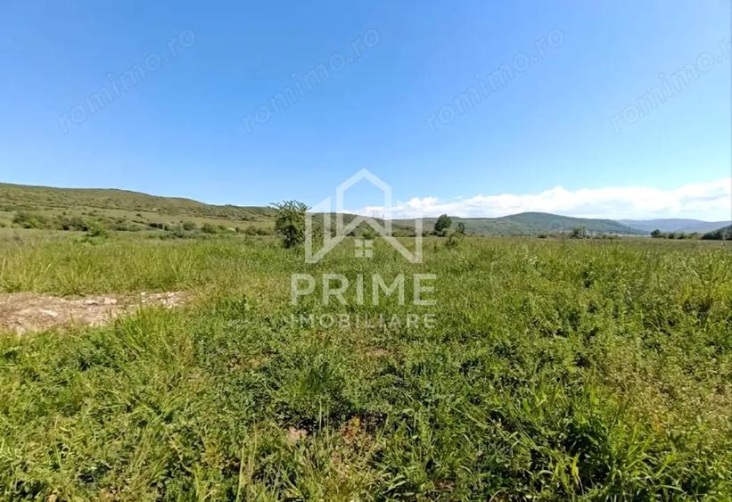 Teren de 453 mp, în Central