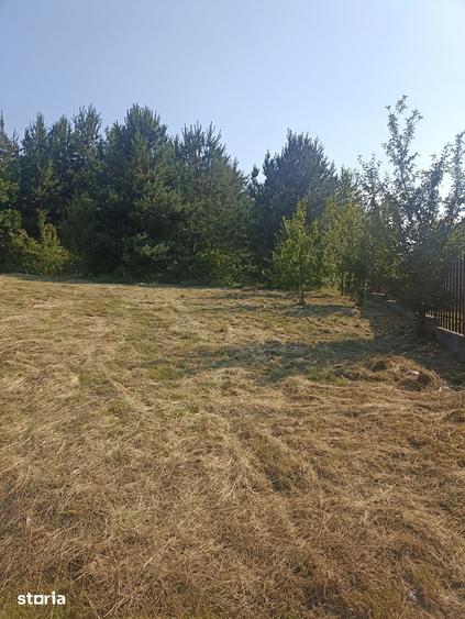 Teren de 1000 mp, în Central