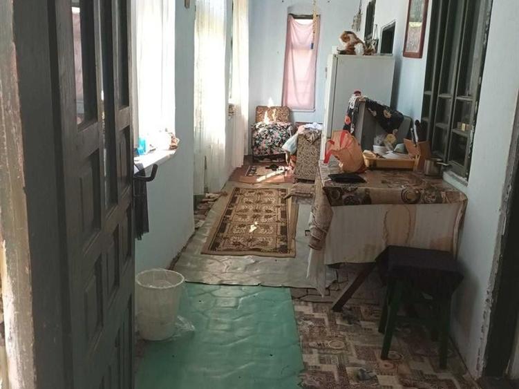 Casă individuală cu 3 camere cu Teren 12000 Mp în Goicea