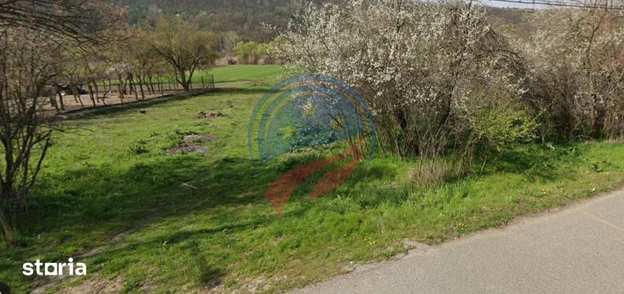 Teren de 4300 mp, în Brădești