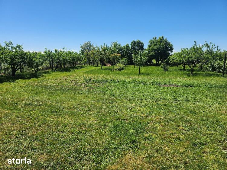 Casă cu 3 camere cu Teren 3400 Mp în Itești