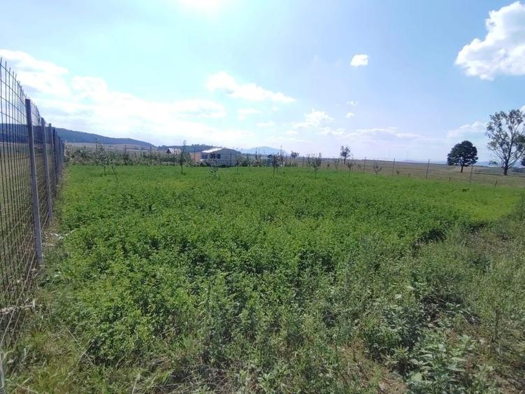 Spațiu comercial, în Sânpetru