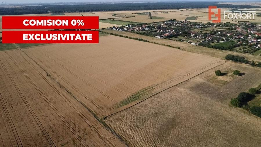 Teren Construcții intravilan de 24700 mp, în Pădureni (Jebel)