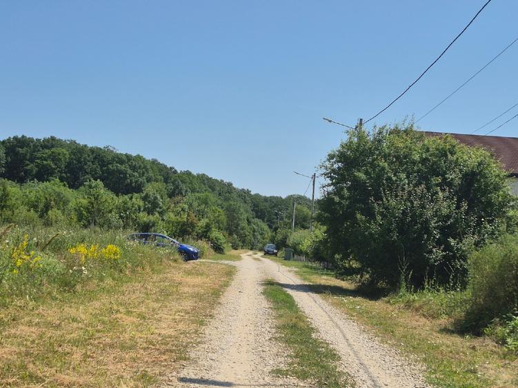 Teren Construcții intravilan de 600 mp, în Balotești