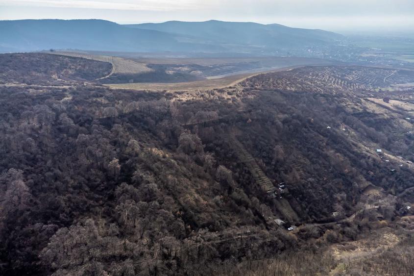 Teren Construcții extravilan de 5000 mp, în Ghioroc