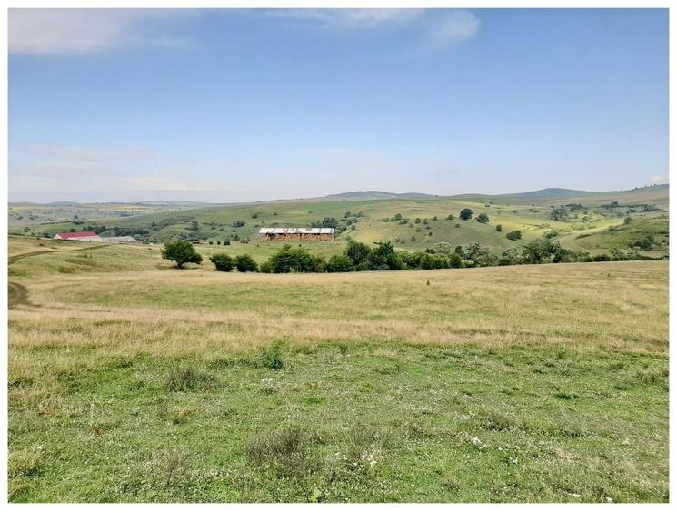Teren agricol extravilan de 2500000 mp, în Șercaia