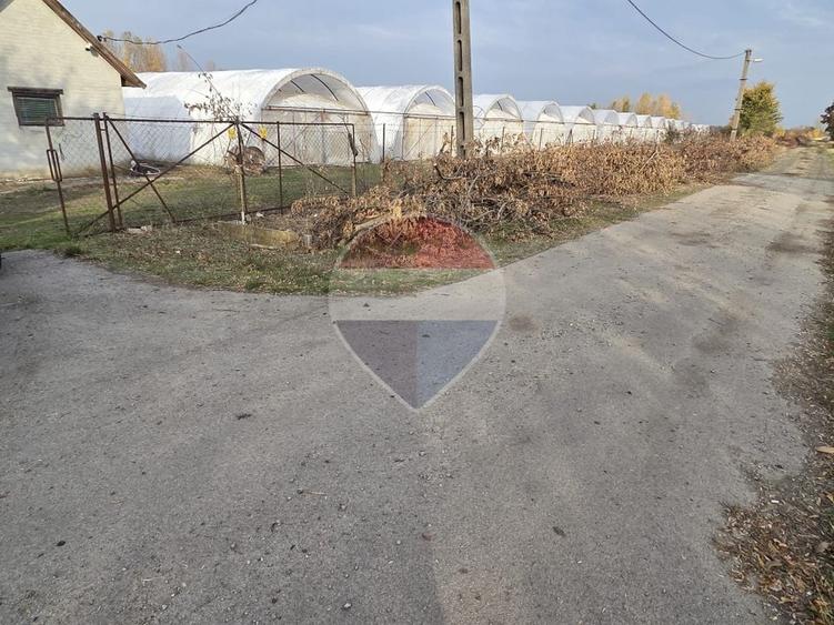 Teren agricol intravilan de 24732 mp, în Vest