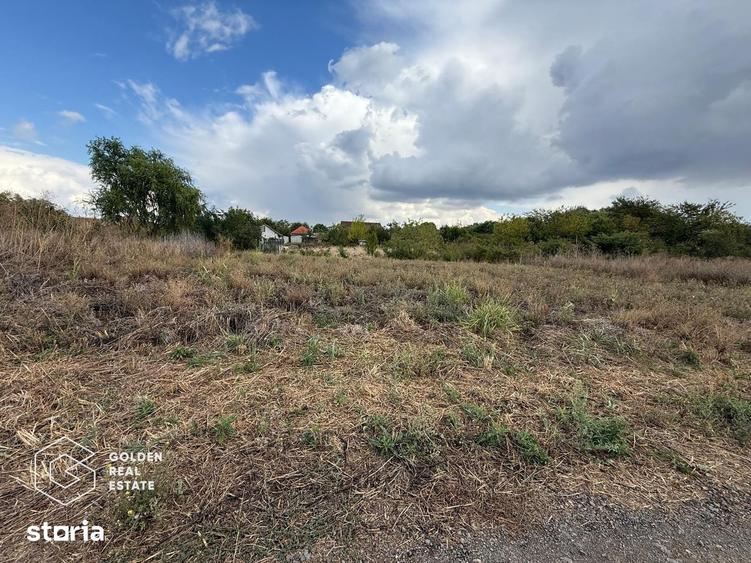 Teren intravilan 538 mp, curti constructii, Sacalaz, Tims - 1