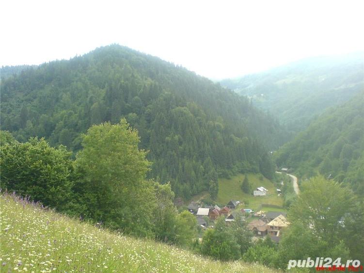 Casă cu 4 camere cu Teren 2000 Mp în Vale