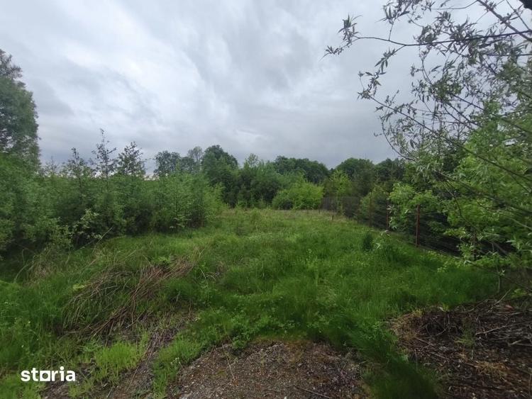 Teren de 2300 mp, în Pojorâta