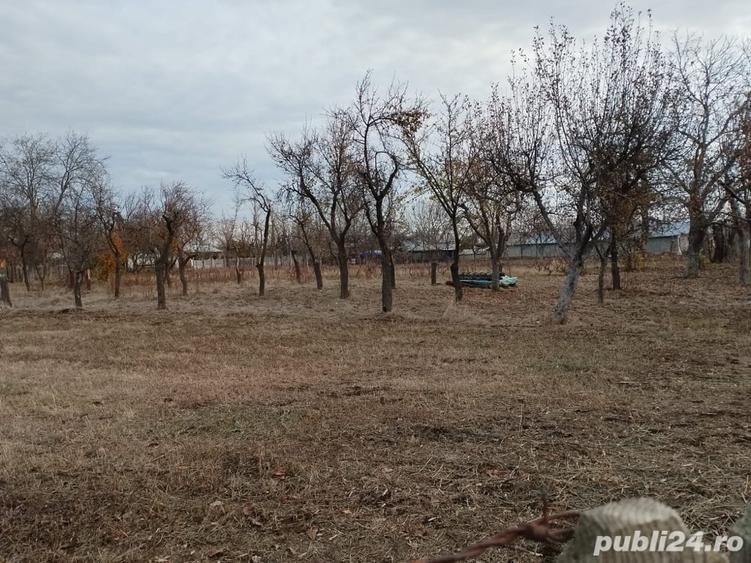 Teren de 3200 mp, în Zoița