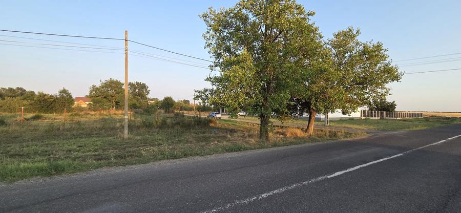 Teren Construcții intravilan de 1600 mp, în Sacoșu Turcesc