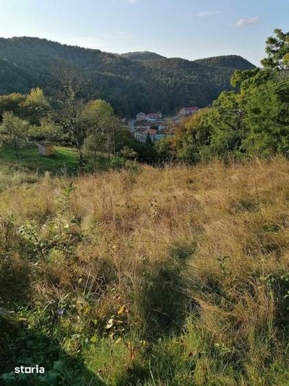 Teren de 18982 mp, în Nădrag