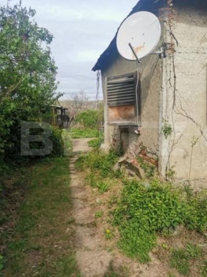 Teren Construcții intravilan de 1589 mp, în Dumbrăvești