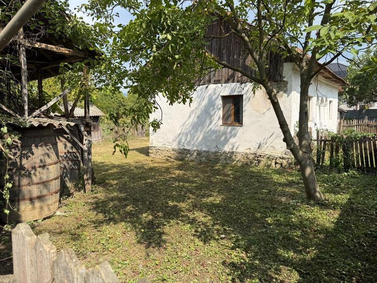 Casă cu 2 camere în Dăești