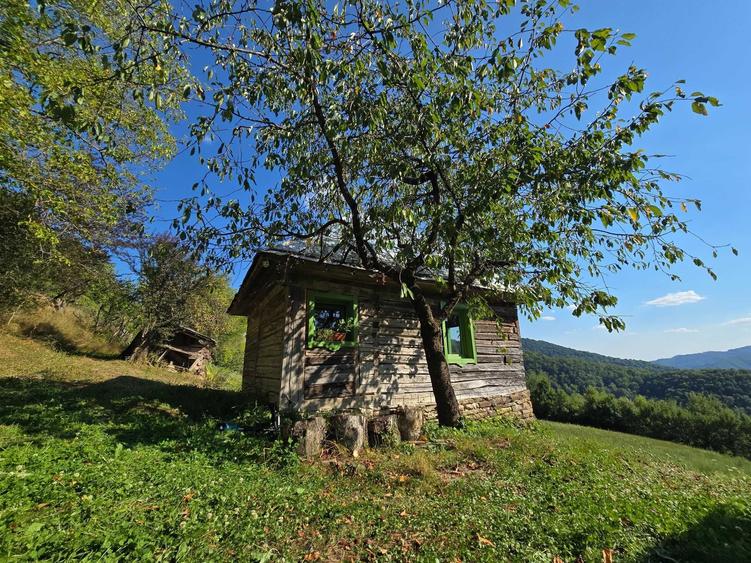 Teren de 105000 mp, în Telciu