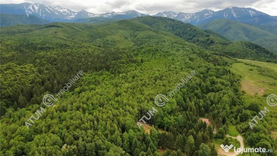Teren intravilan in Porumbacu de Sus - 8