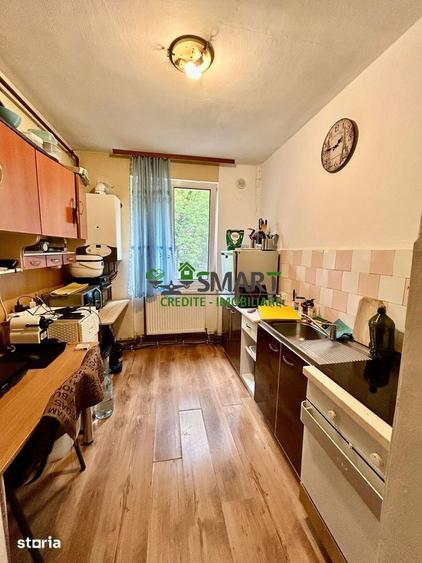 Apartament cu 2 camere semidecomandat în Săsar