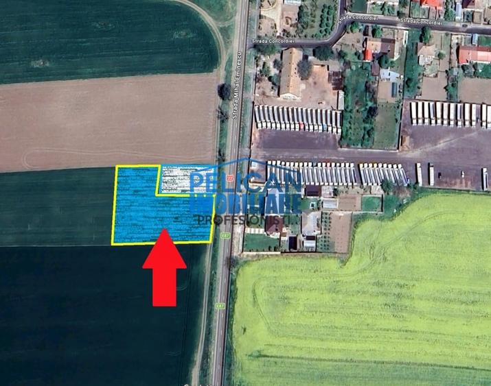 Teren Construcții intravilan de 4000 mp, în Mihail Kogălniceanu