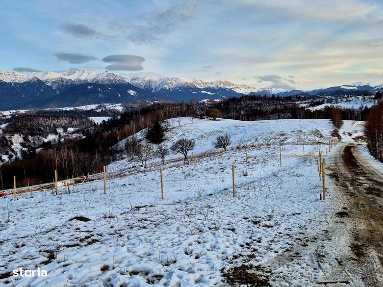 Teren Extravilan De Vanzare Pestera, Moeciu- Investitie Cu Potential - 12