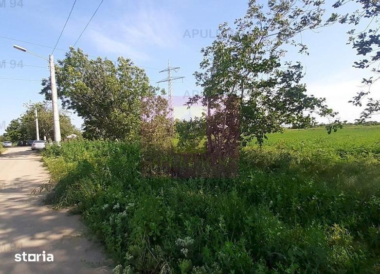 Teren de 5000 mp, în Copăceni