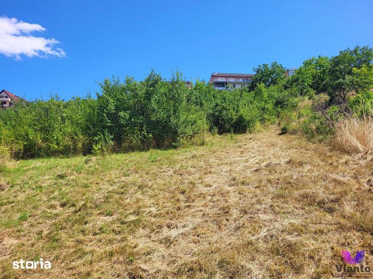 Teren de 546 mp, în Tilișca
