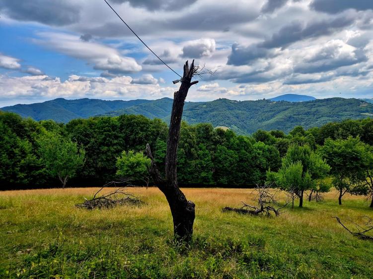 Teren Construcții extravilan de 21537 mp, în Poiana Mărului