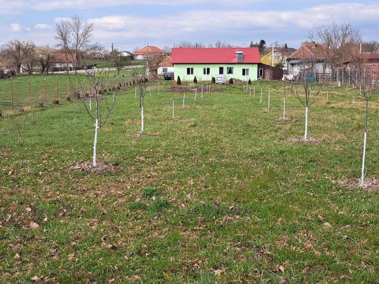 Casă cu 3 camere în Miersig