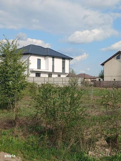 Teren Clinceni sat Olteni - 1