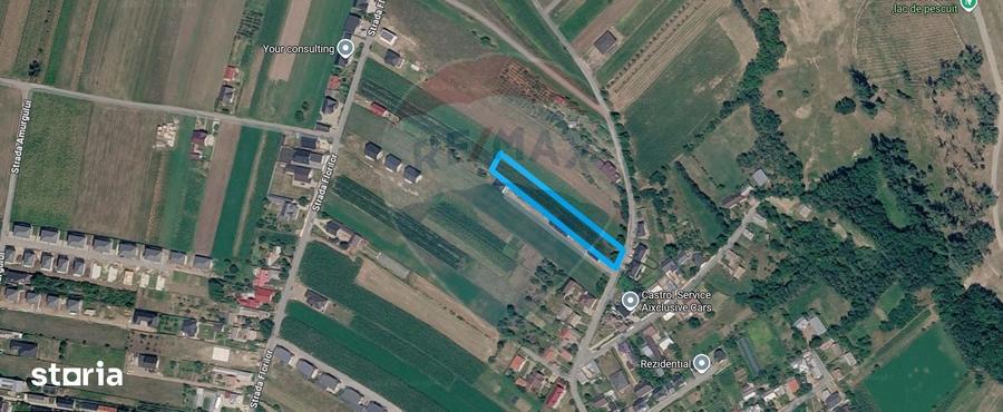 Teren de 2600 mp, în Lisaura