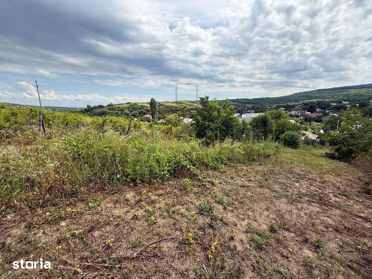 Teren de 1053 mp, în Tomești