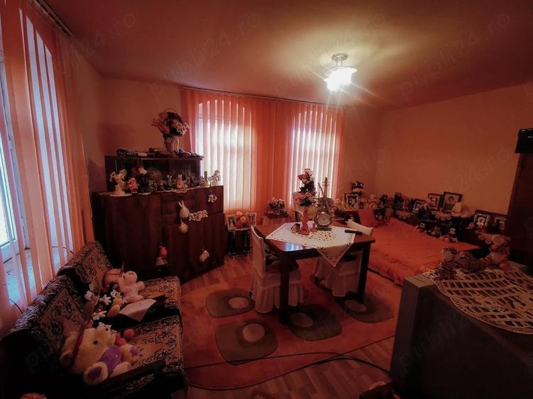 Casa la ?ara de vanzare, mobilata, 2000 mp teren, Covei - Dolj - 4