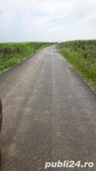 Teren de 644 mp, în Copăceni