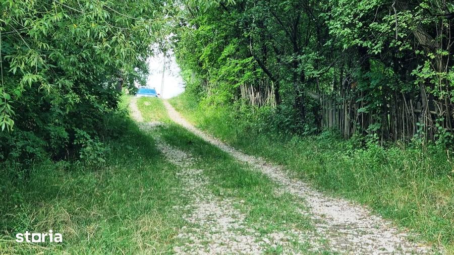 Teren de 6000 mp, în Central