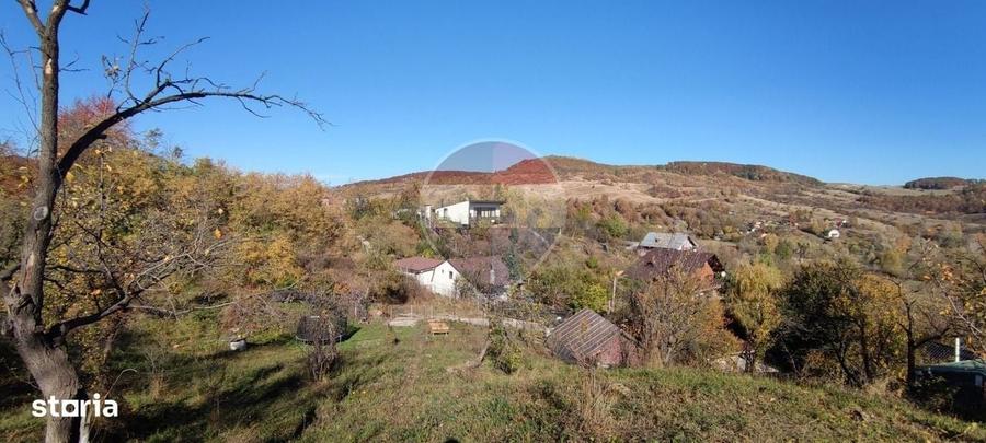 VANZARE Teren intravilan in Provita de Jos - 7