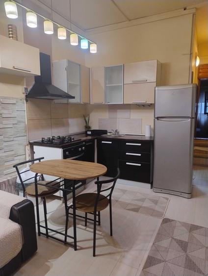 Apartament/ Studio de inchiriat - 14