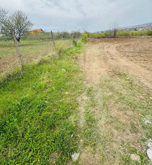 Teren de 100 mp, în Vișan