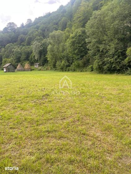 Teren de 4500 mp, în Dâmbovicioara