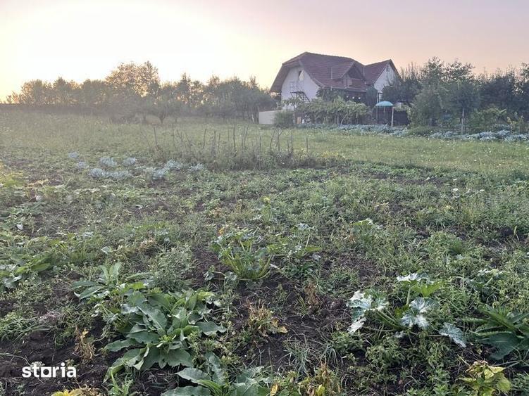 Teren de 1800 mp, în Libertății